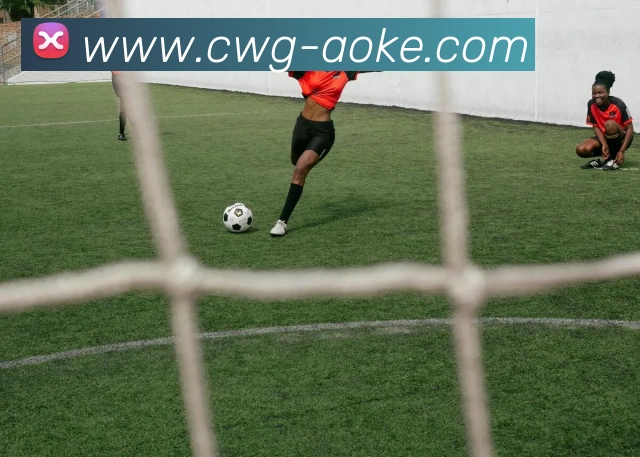 澳客官网服务体系